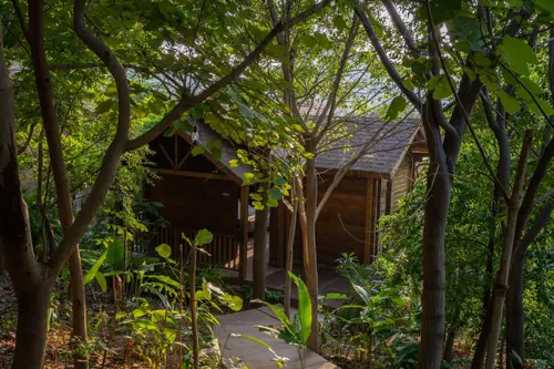 Ananta Udaipur - Other Facilities - Others 65